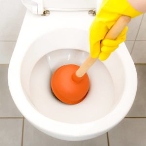 How to unclog toilet? Use your typical plunger to fix all your plumbing concerns!